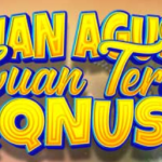 QQNUSA : Situs Judi QQ Slot Online Terpopuler Indonesia